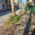 667217410_4222350221359586_1496785980121069843_n