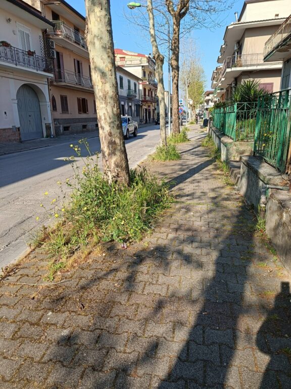 667217410_4222350221359586_1496785980121069843_n