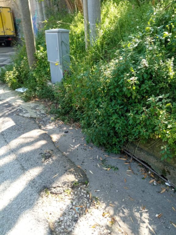 668122795_122124056067152871_1661256982980292136_n