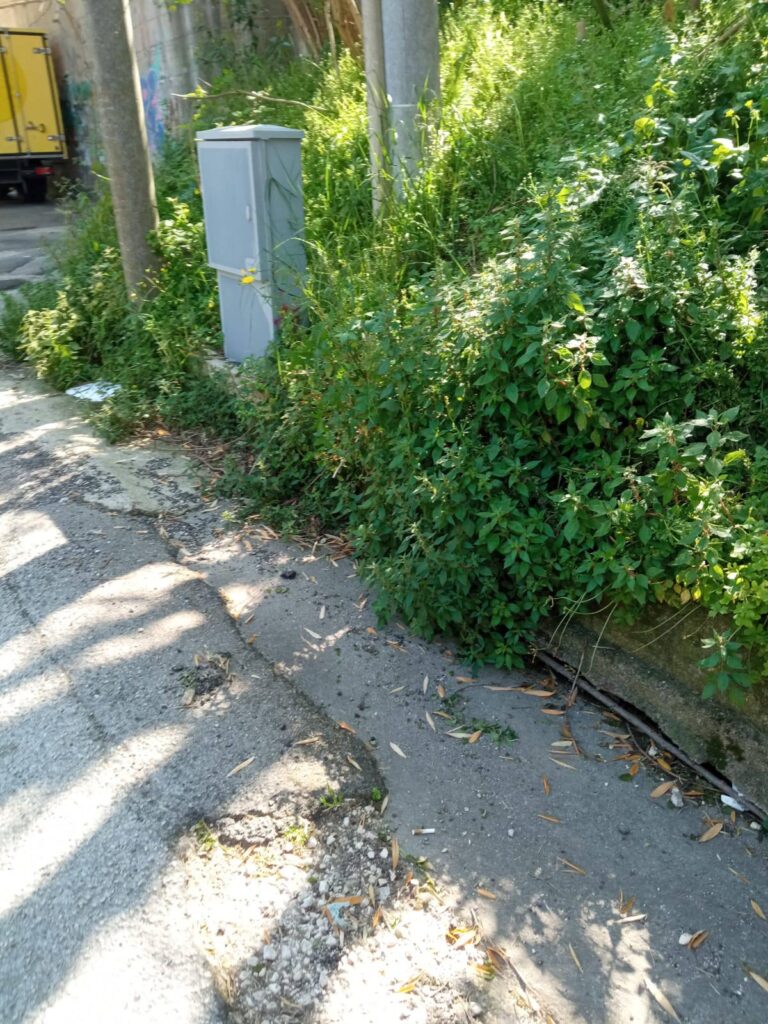 668122795_122124056067152871_1661256982980292136_n