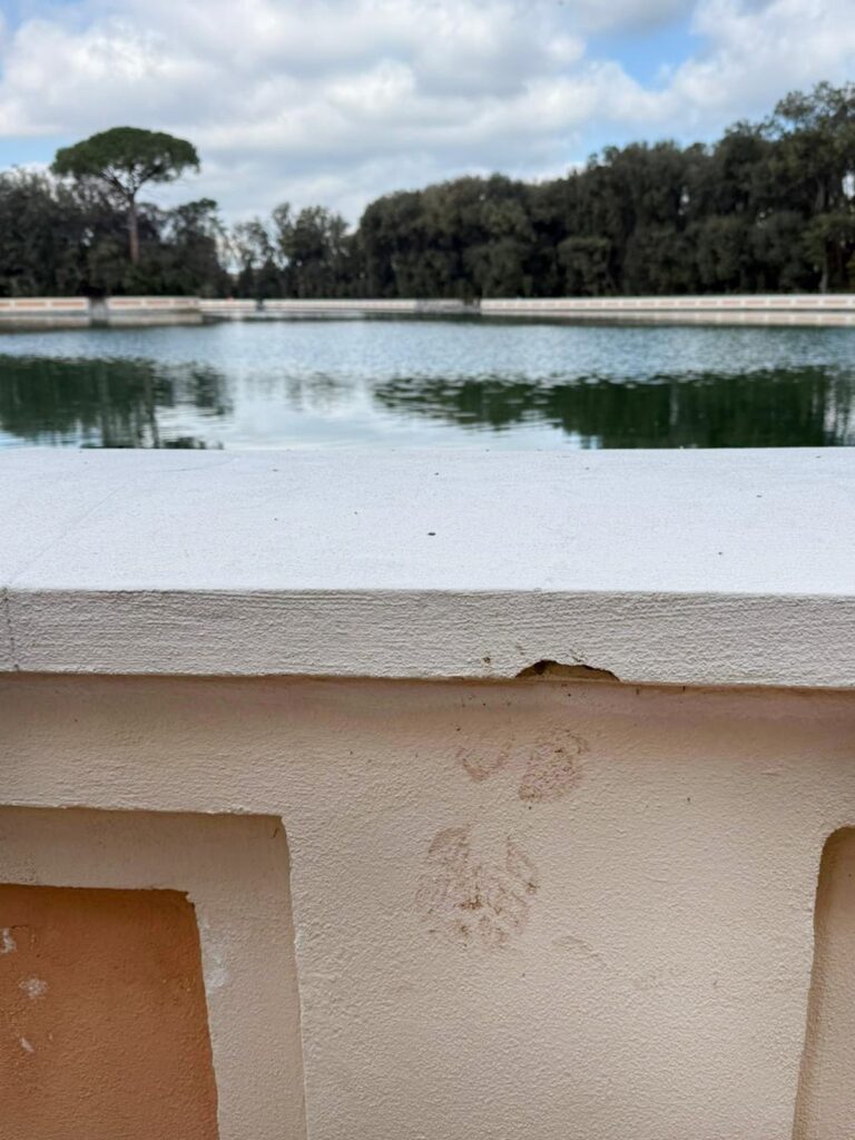 668244312_1406206481549897_1882254523762873207_n