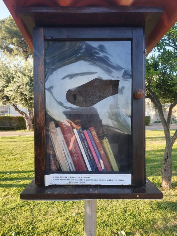 680410411_26749148994718842_4004854054857757870_n