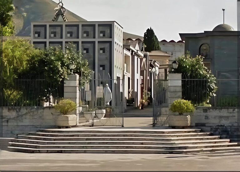 686461676_1406416901509949_8989192266819375498_n