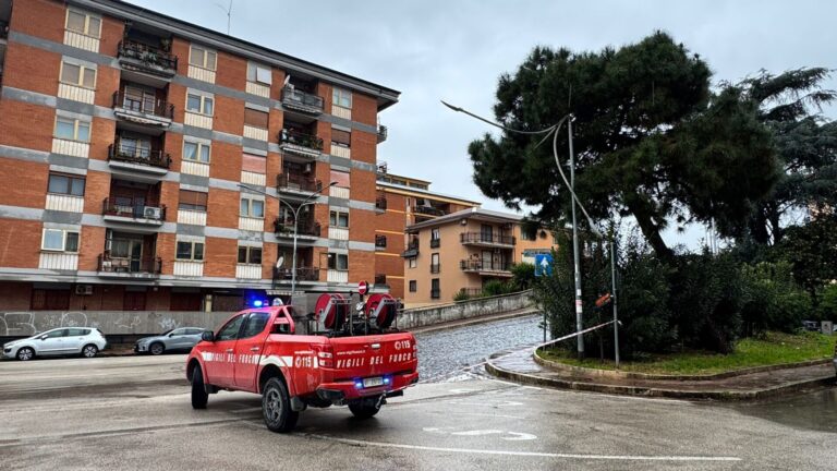 95b18f1f-c2c6-48d3-88d9-df9ff79488fa