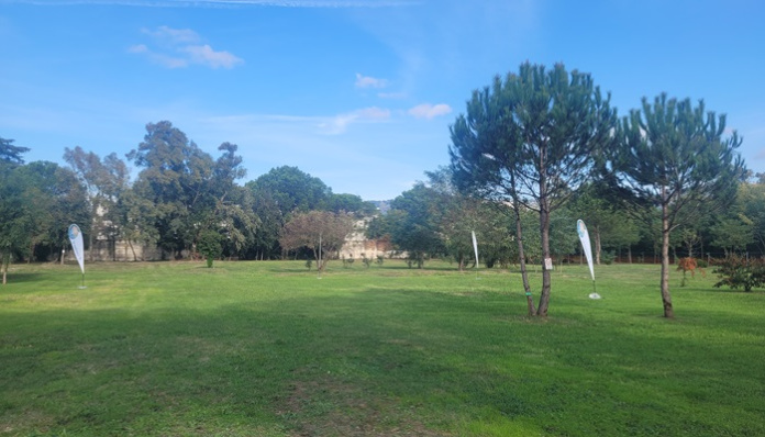 Campo-Laudato-si-696x398