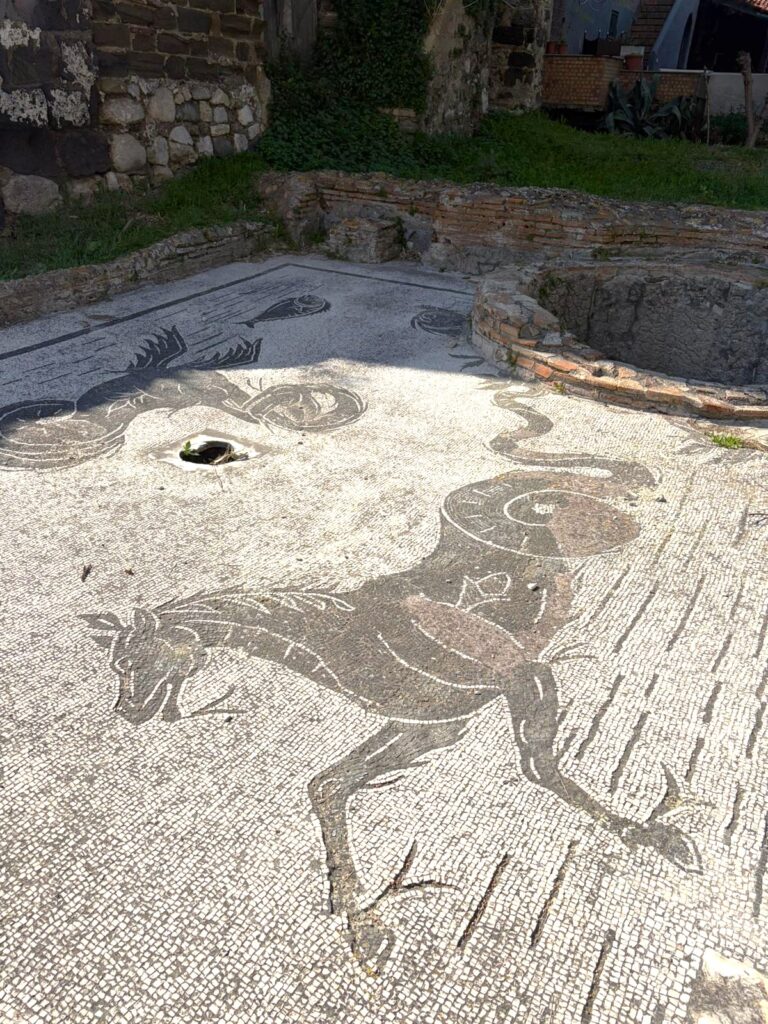 PHOTO-2026-04-10-16-03-12