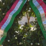 Still0425_00000 copia