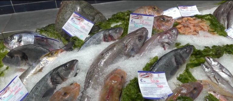 WhatsApp Image 2026-04-01 at 08.01.18