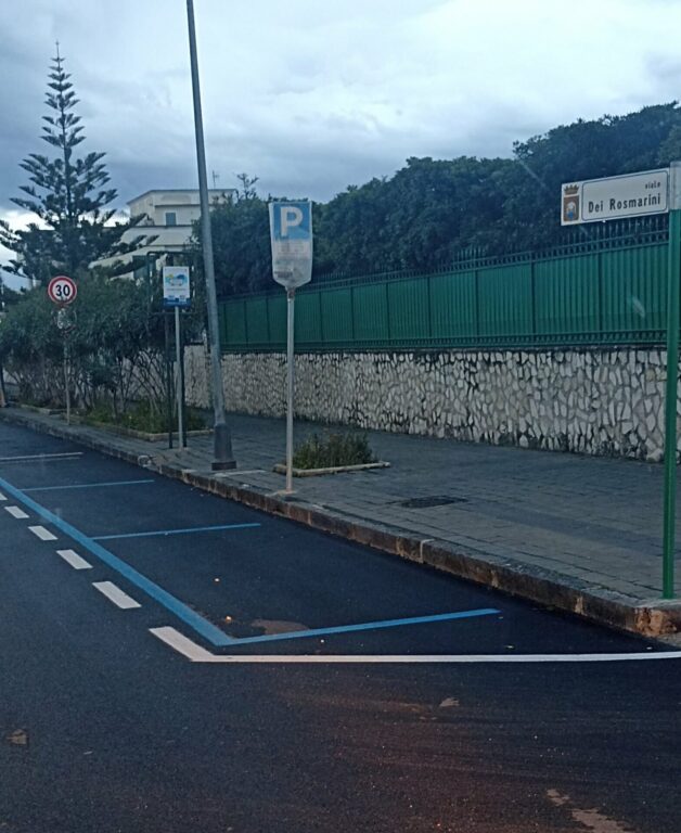 WhatsApp Image 2026-04-01 at 09.06.46