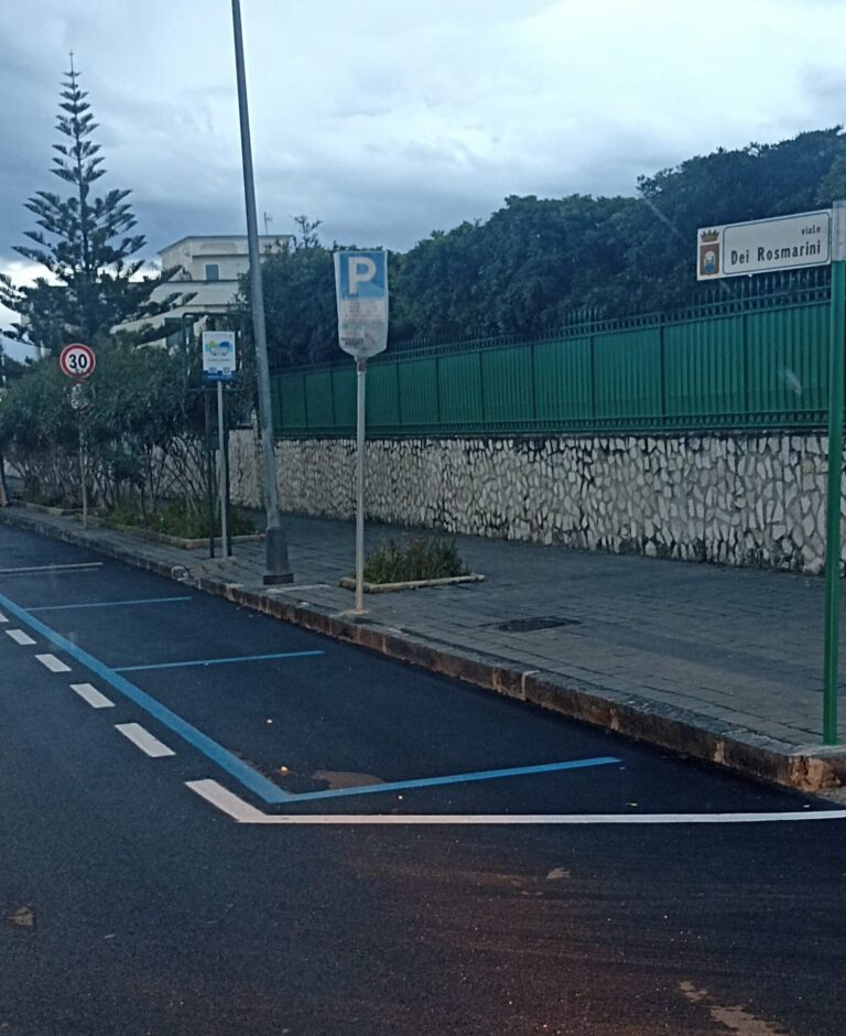 WhatsApp Image 2026-04-01 at 09.06.46