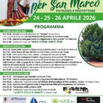 WhatsApp Image 2026-04-01 at 10.08.04