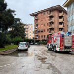 WhatsApp Image 2026-04-02 at 09.42.56