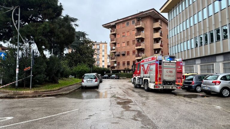 WhatsApp Image 2026-04-02 at 09.42.56