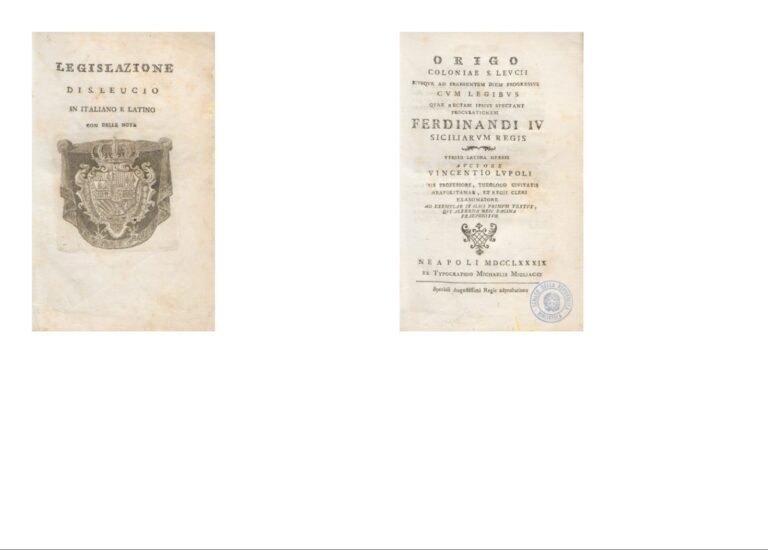 WhatsApp Image 2026-04-02 at 12.14.56