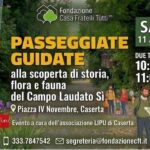 WhatsApp Image 2026-04-03 at 09.10.47