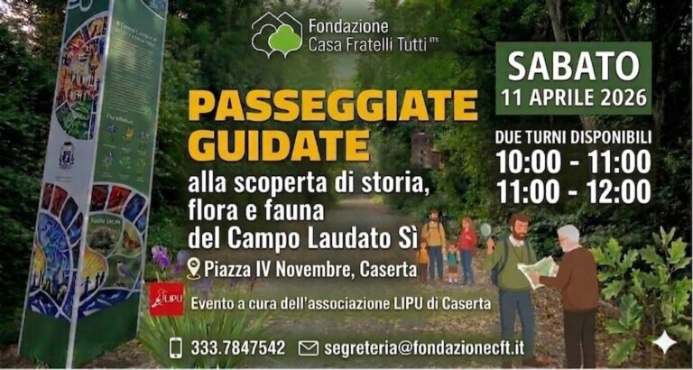 WhatsApp Image 2026-04-03 at 09.10.47