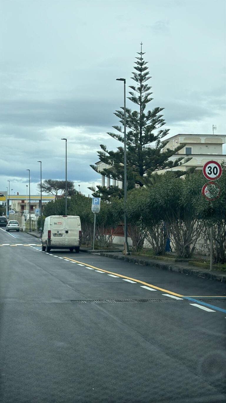 WhatsApp Image 2026-04-04 at 10.09.52