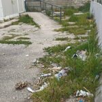 WhatsApp Image 2026-04-04 at 16.03.01