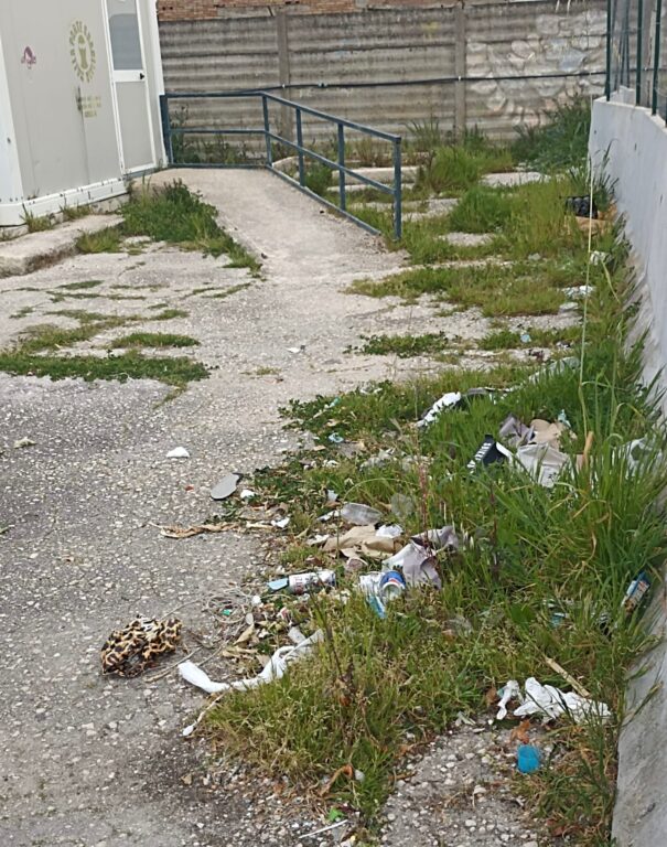 WhatsApp Image 2026-04-04 at 16.03.01