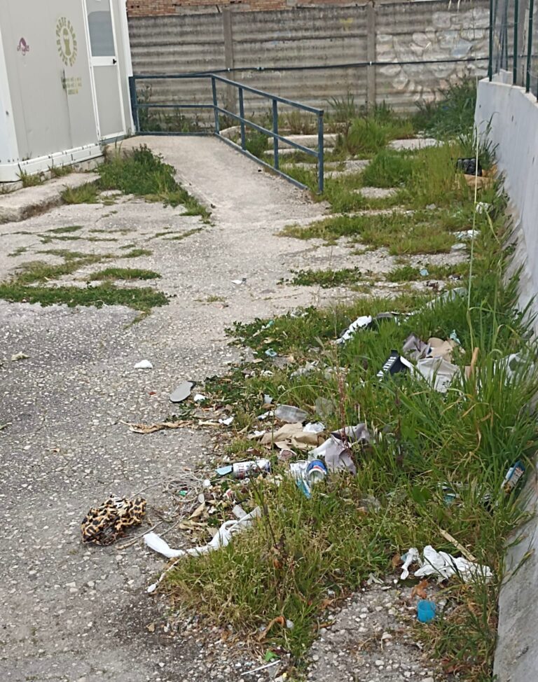 WhatsApp Image 2026-04-04 at 16.03.01