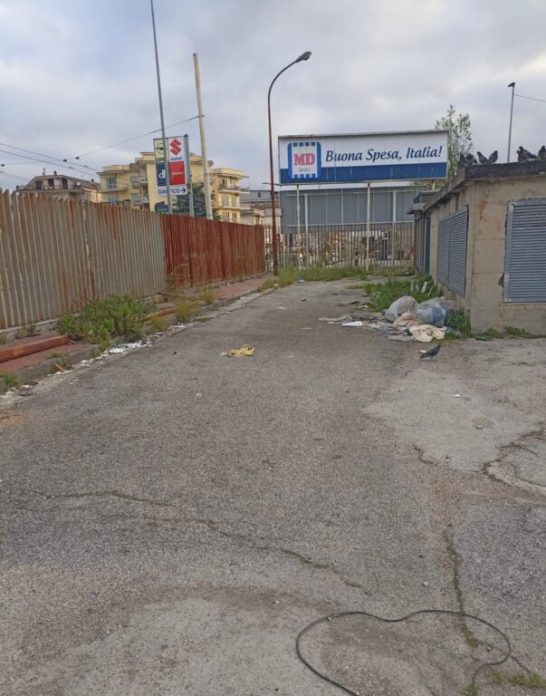 WhatsApp Image 2026-04-08 at 13.31.56