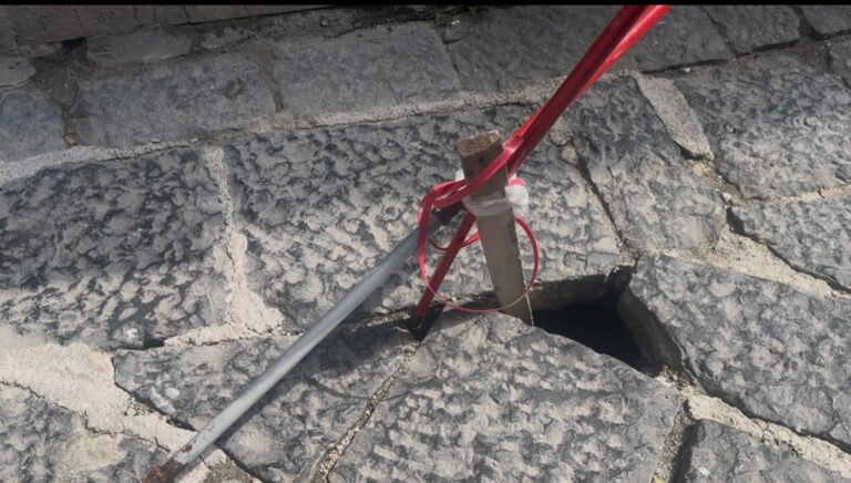 WhatsApp Image 2026-04-08 at 20.49.56