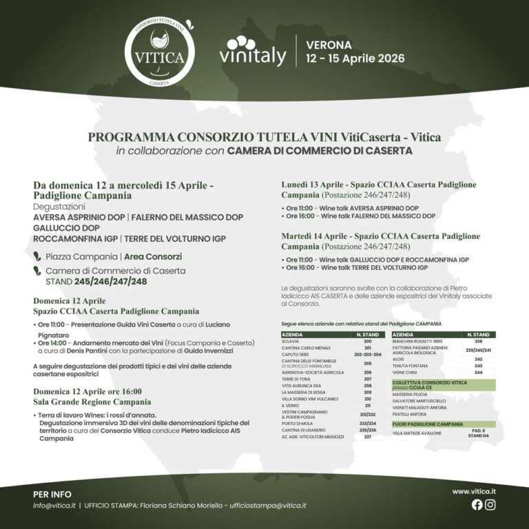 WhatsApp Image 2026-04-09 at 16.38.39