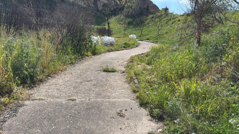 WhatsApp Image 2026-04-10 at 11.02.05