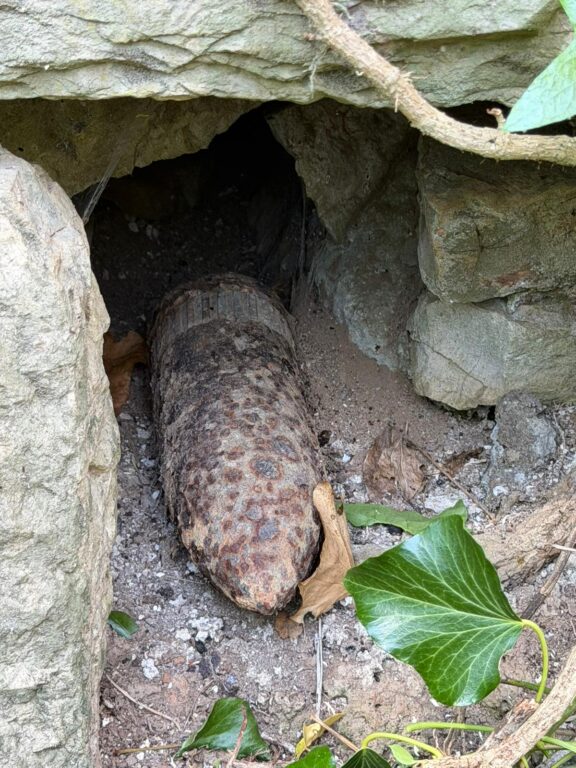 WhatsApp Image 2026-04-10 at 20.37.45