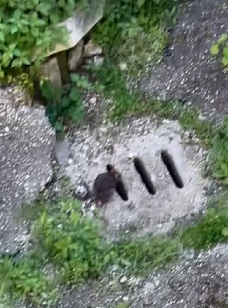 WhatsApp Image 2026-04-11 at 13.32.57