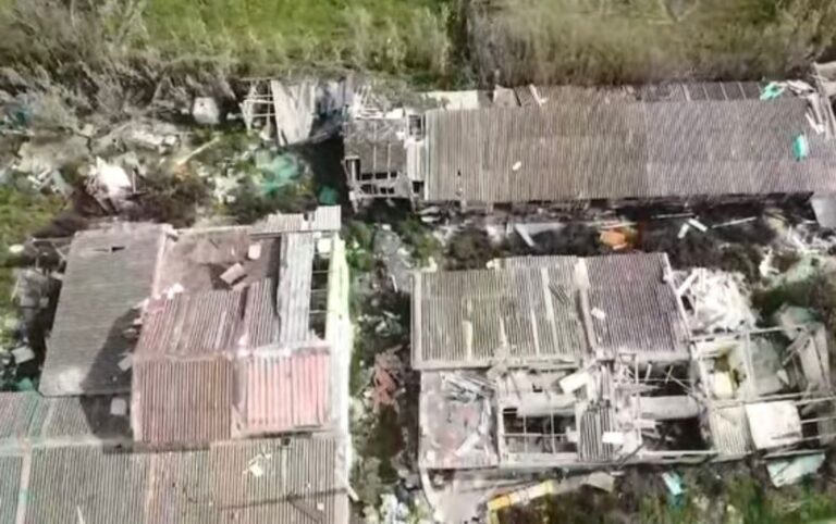 WhatsApp Image 2026-04-11 at 17.23.13