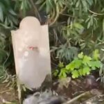 WhatsApp Image 2026-04-16 at 09.00.36