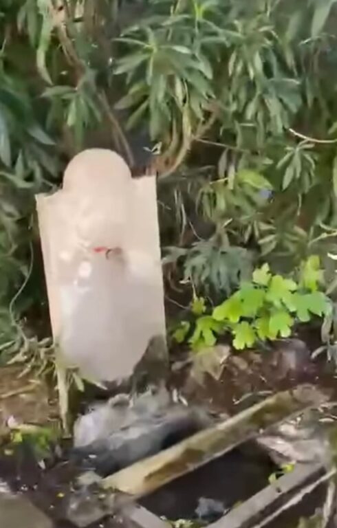 WhatsApp Image 2026-04-16 at 09.00.36