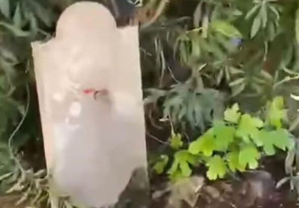 WhatsApp Image 2026-04-16 at 09.00.36