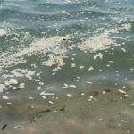 a0e5a91d-621e-4f10-82c6-590ecc1c0322