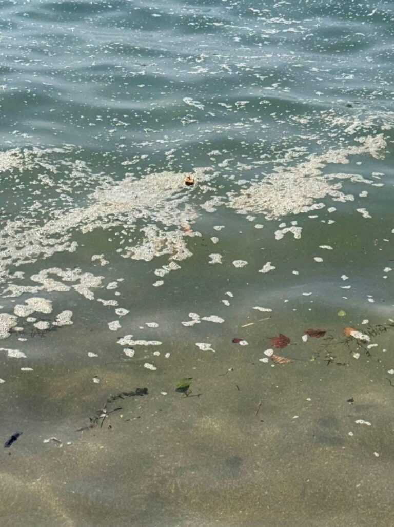 a0e5a91d-621e-4f10-82c6-590ecc1c0322