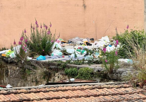 ba84990f-ec3c-44b2-8445-8c30c2455e52