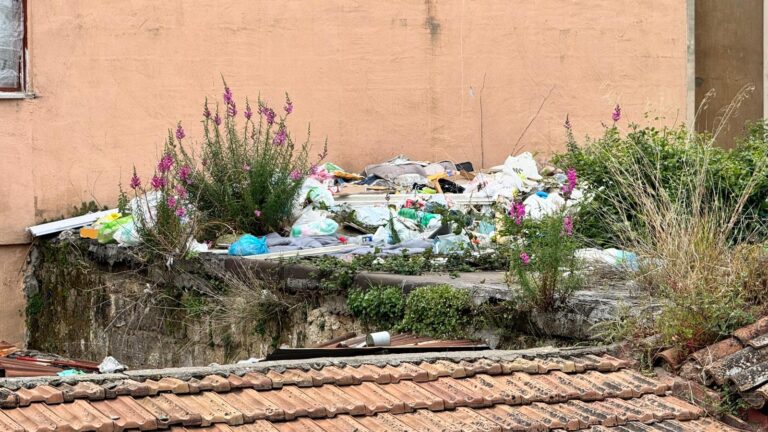 ba84990f-ec3c-44b2-8445-8c30c2455e52