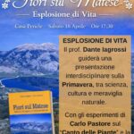 d6e85e81-4ffd-4e47-a26c-5b6b658bf842