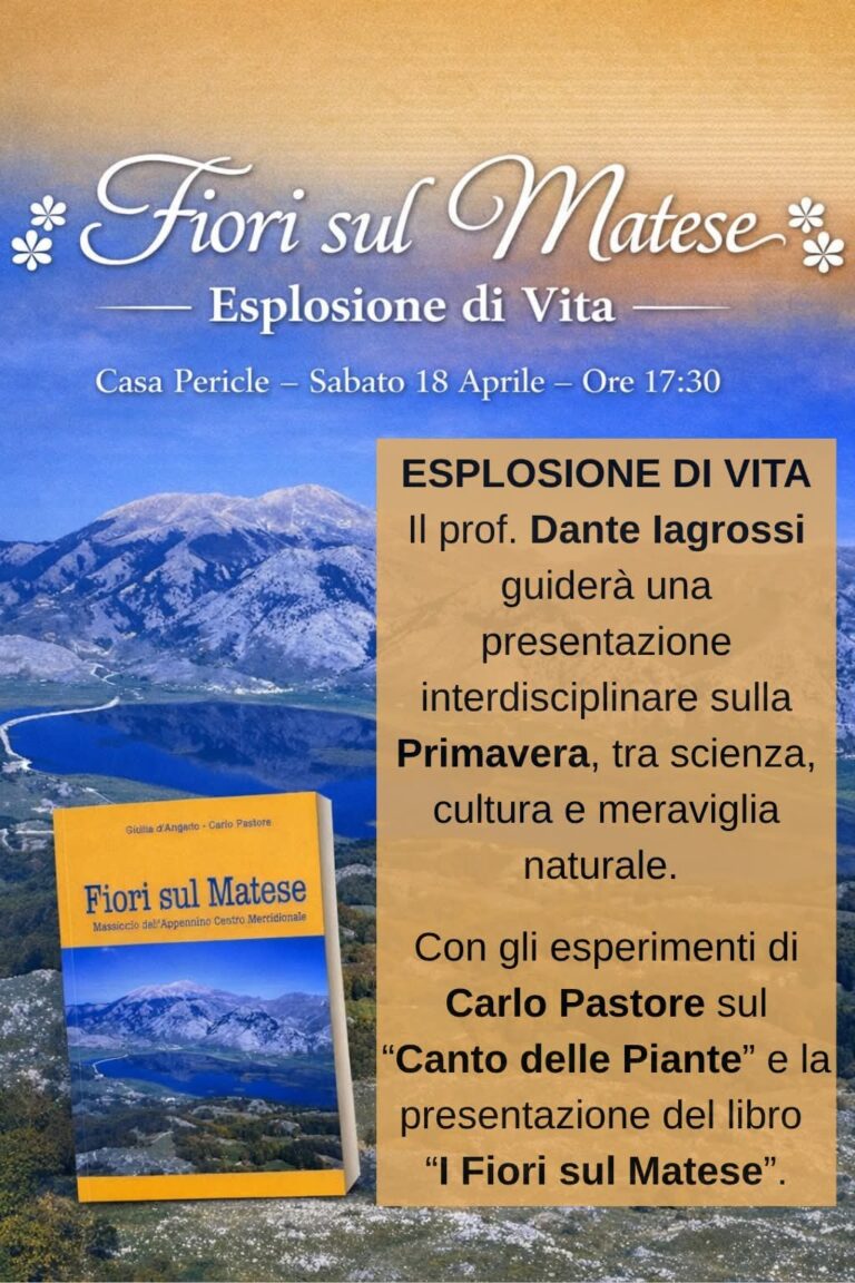 d6e85e81-4ffd-4e47-a26c-5b6b658bf842