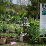 festival-del-verde-1-2