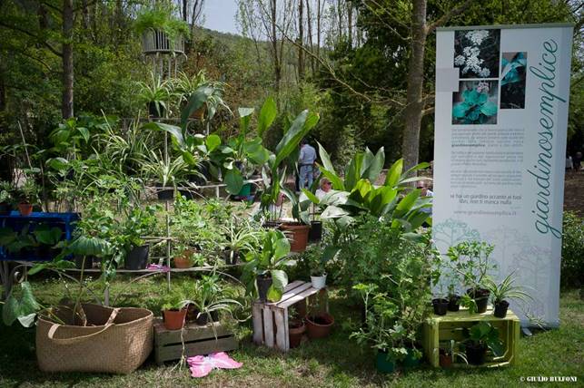 festival-del-verde-1-2