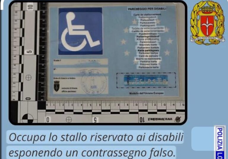 81df3250-5656-411b-a715-afb11fc60b87