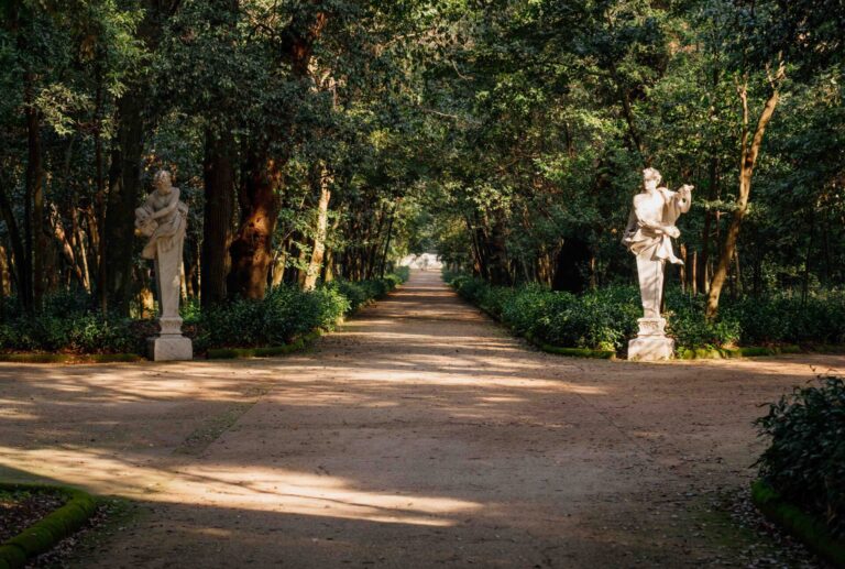 Bosco Vecchio_Reggia di Caserta_foto di Marco Ferraro