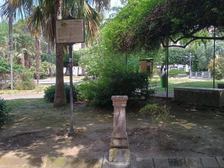 WhatsApp Image 2026-05-18 at 11.45.12