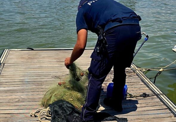 polprovretipesca