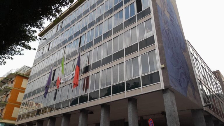 21784 (1)