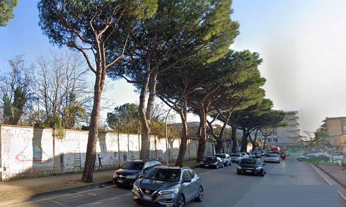 Caserta-Italia-Nostra-contro-labbattimento-degli-alberi-in-via-Unita-Italiana