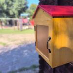 Capodrise_Parco-Rodari_Cassetta-libri_2026