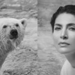 Caterina Murino e l’Orso Polare (Ursus maritimus) foto di Alessandro Dobici, Alberto Cambone e Roberto Isotti
